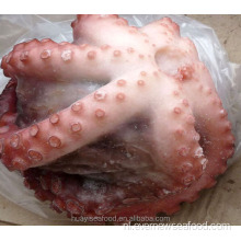 bevroren verse octopus grondstof namen octopus